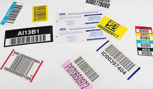 Label and Sticker Printing Services
